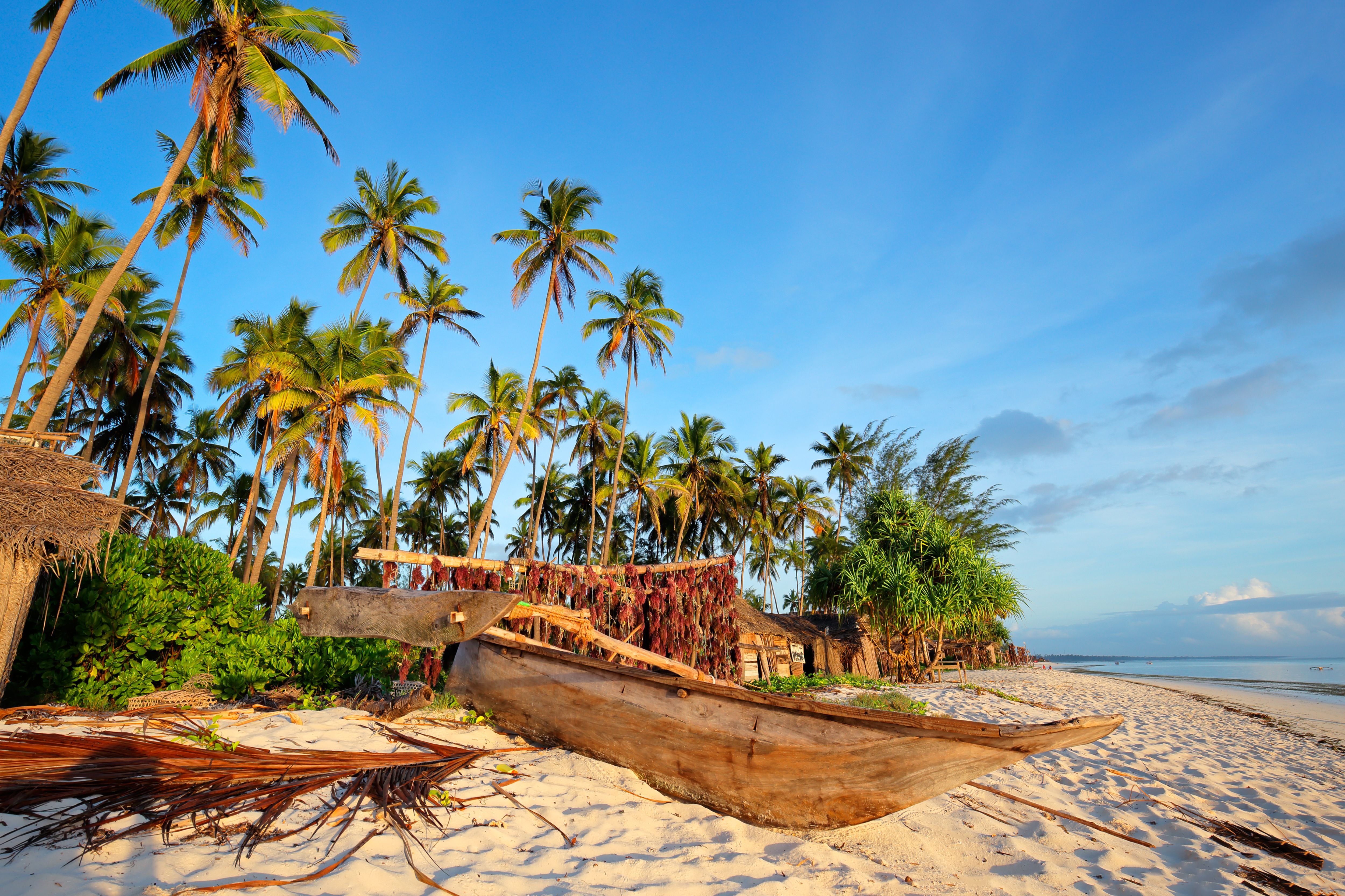 Cheap Flights to Zanzibar from £432 - Cheapflights.co.uk