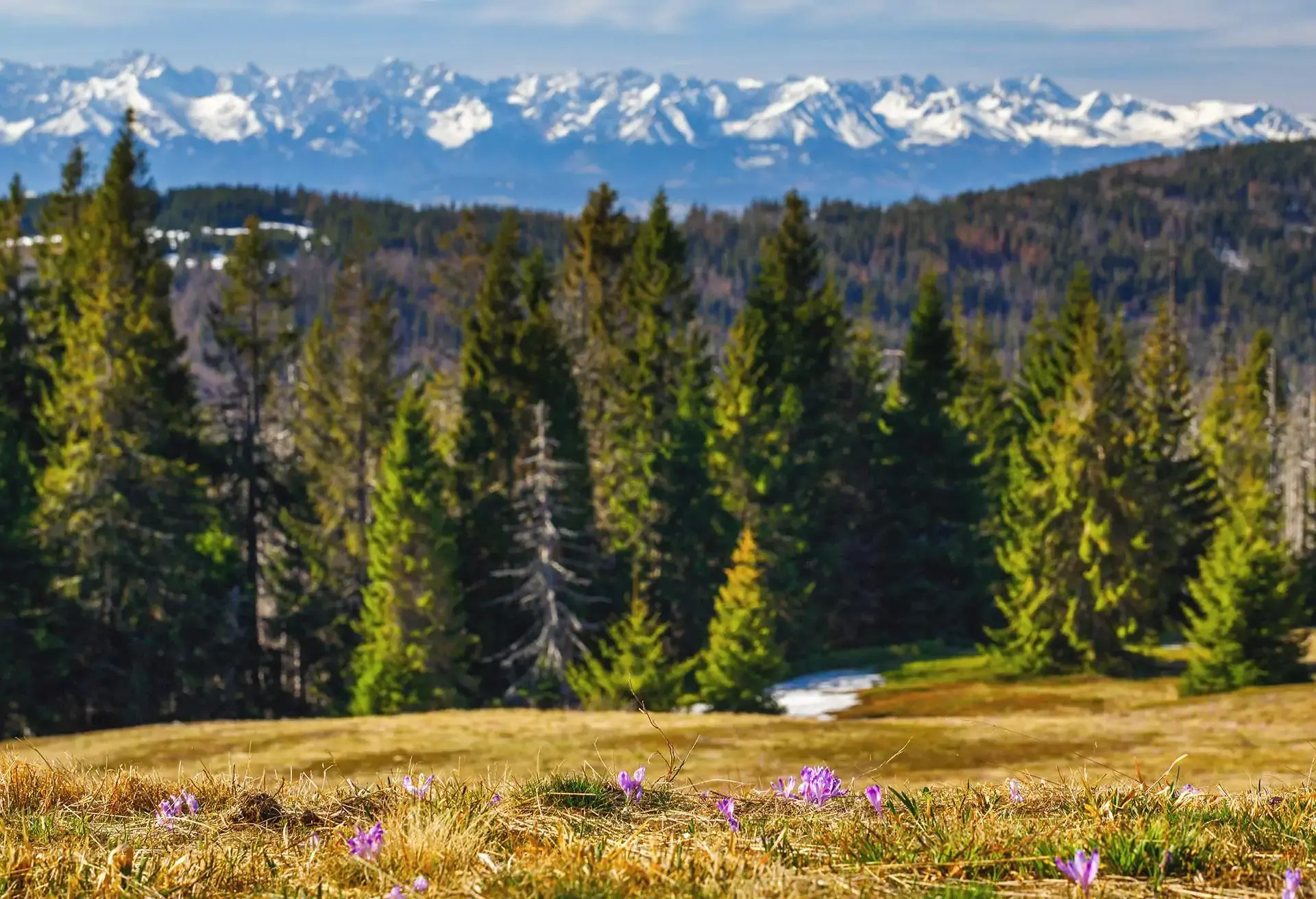 View of Gorce National Park, Poland
