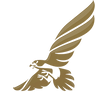Gulf Air