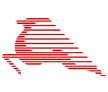 Tunisair